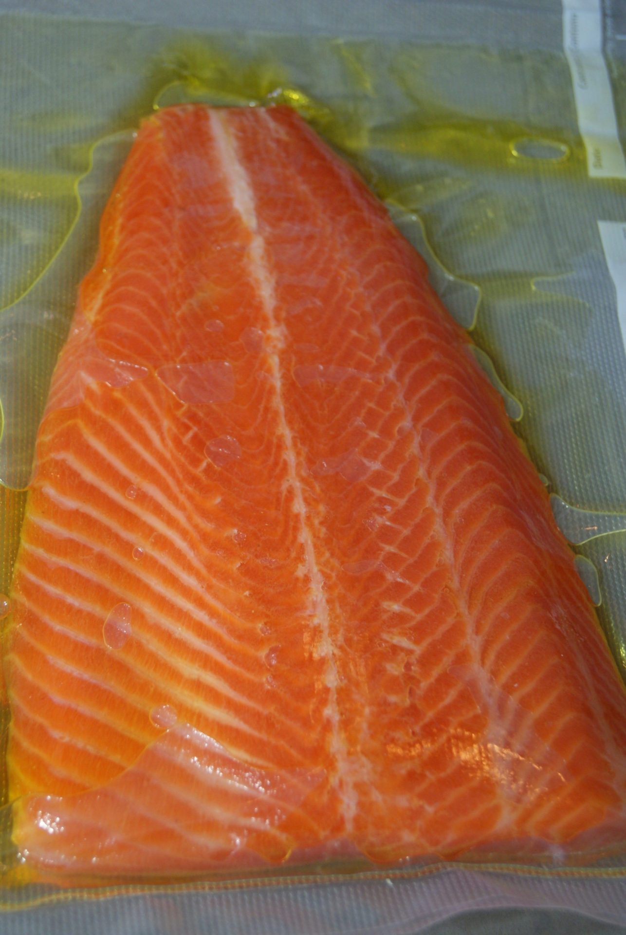 SousVide (Micuit) Ocean Trout Regethermic Regethermic